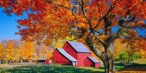 Can you feel the season change?